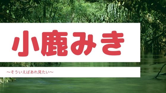 小鹿みきの現在は 結婚や子供も気になる お店の場所も調査 そういえばあれ見たい