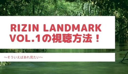 RIZIN LANDMARK vol.1の視聴方法の紹介！お得な料金でみられるのはどこ？