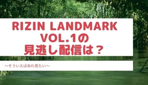RIZIN LANDMARK vol.1の見逃し配信はある？いつまで見られるか調べてみた
